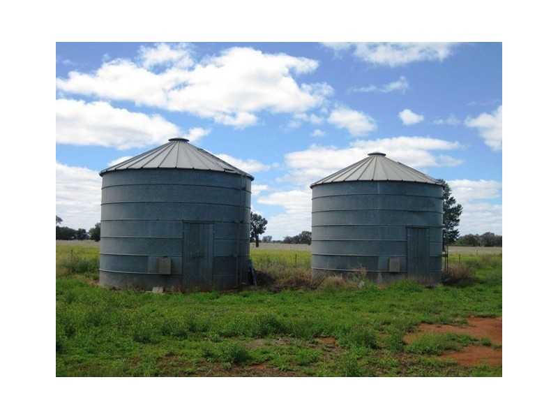 * Runnymede, Coolabah NSW 2831
