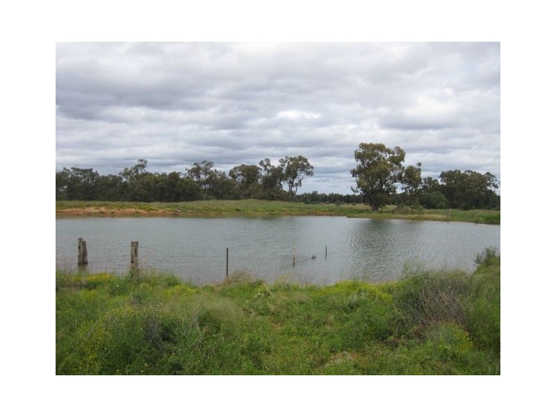 * Runnymede, Coolabah NSW 2831