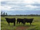 * Runnymede, Coolabah NSW 2831