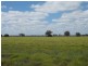 * Runnymede, Coolabah NSW 2831