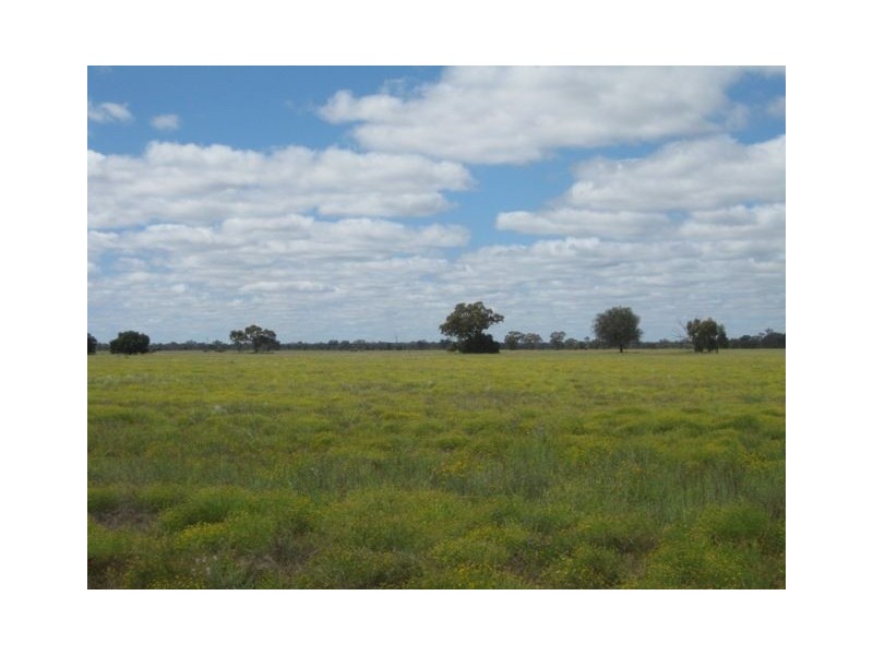 * Runnymede, Coolabah NSW 2831