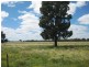 * Runnymede, Coolabah NSW 2831