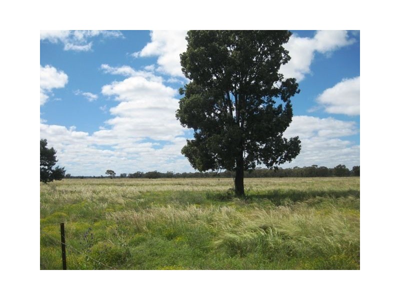 * Runnymede, Coolabah NSW 2831