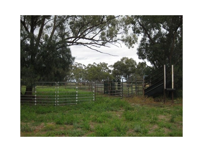 * Runnymede, Coolabah NSW 2831