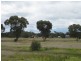 * Runnymede, Coolabah NSW 2831