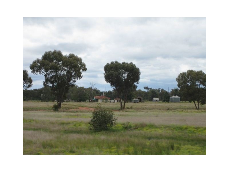* Runnymede, Coolabah NSW 2831