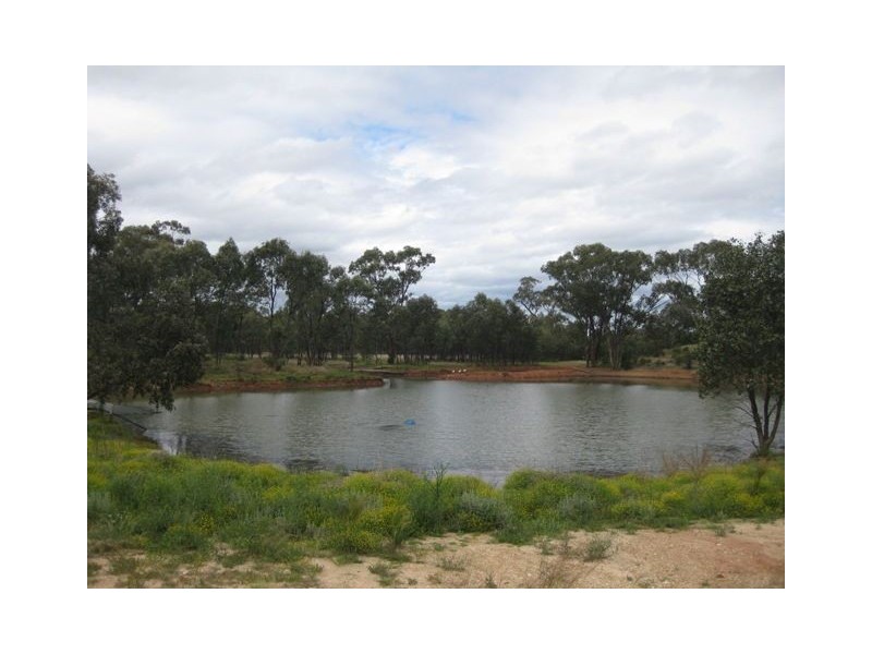 * Runnymede, Coolabah NSW 2831
