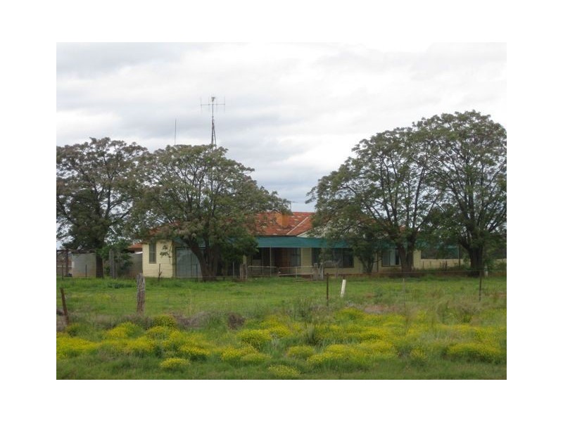* Runnymede, Coolabah NSW 2831