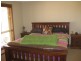 Lot 11 Lerida Rd, Cobar NSW 2835