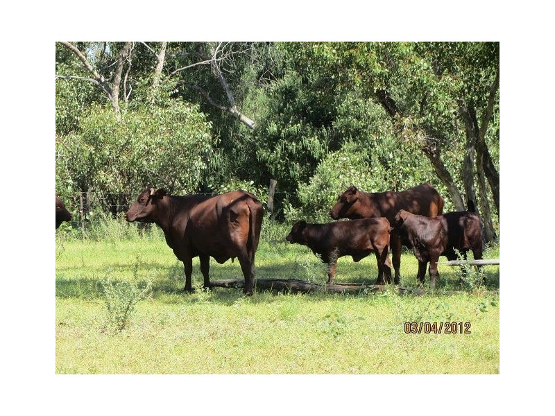 * BULLA PARK, Cobar NSW 2835