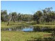 * BULLA PARK, Cobar NSW 2835