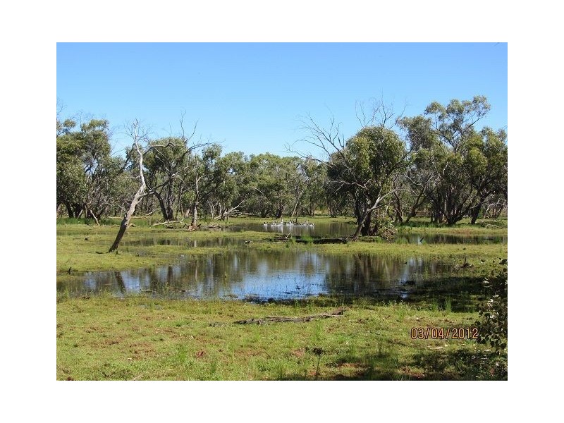 * BULLA PARK, Cobar NSW 2835