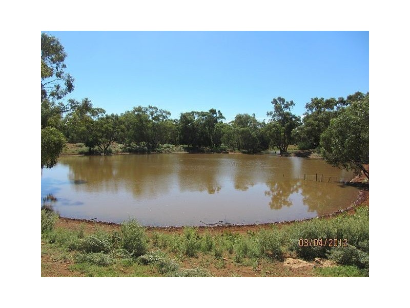 * BULLA PARK, Cobar NSW 2835