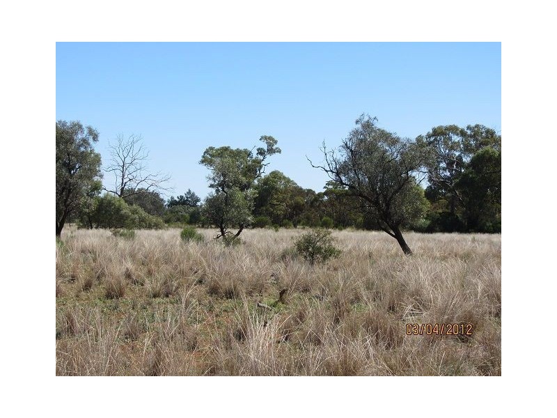 * BULLA PARK, Cobar NSW 2835