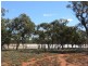 * KIAMA, Cobar NSW 2835