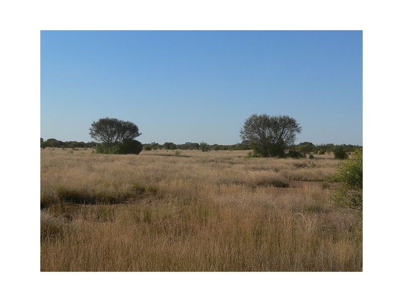 * Naree, Bourke NSW 2840