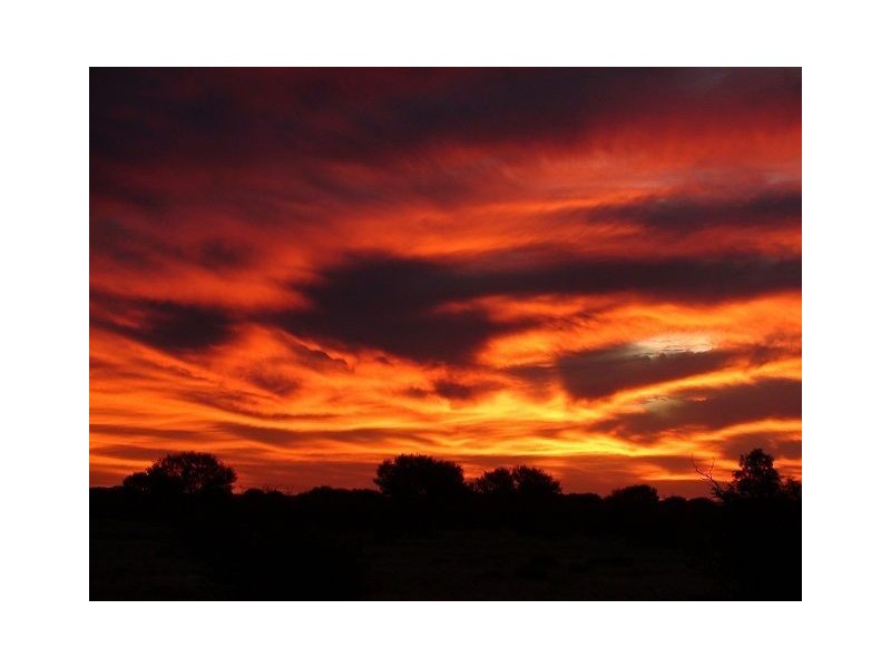 * Pindera Downs & Clifton Downs Stations, Tibooburra NSW 2880