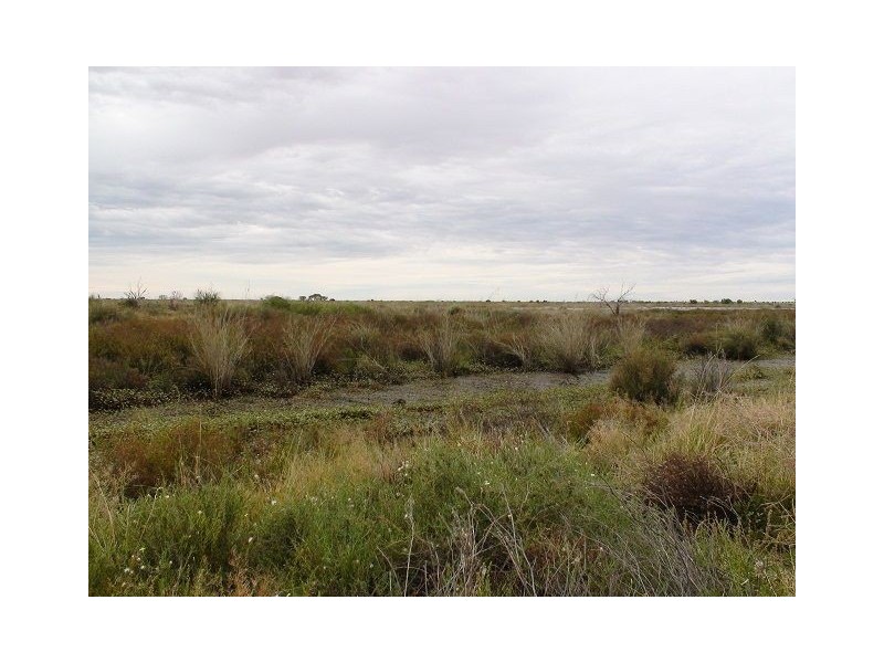 * Pindera Downs & Clifton Downs Stations, Tibooburra NSW 2880