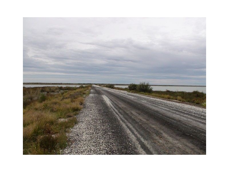 * Pindera Downs & Clifton Downs Stations, Tibooburra NSW 2880