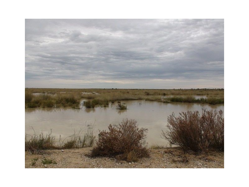 * Pindera Downs & Clifton Downs Stations, Tibooburra NSW 2880