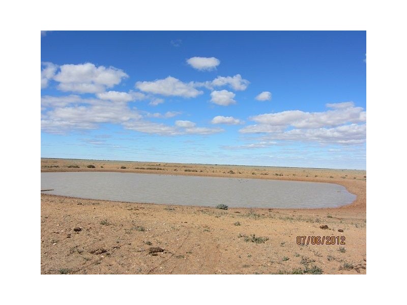 * Pindera Downs & Clifton Downs Stations, Tibooburra NSW 2880