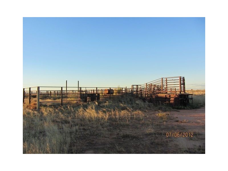 * Pindera Downs & Clifton Downs Stations, Tibooburra NSW 2880