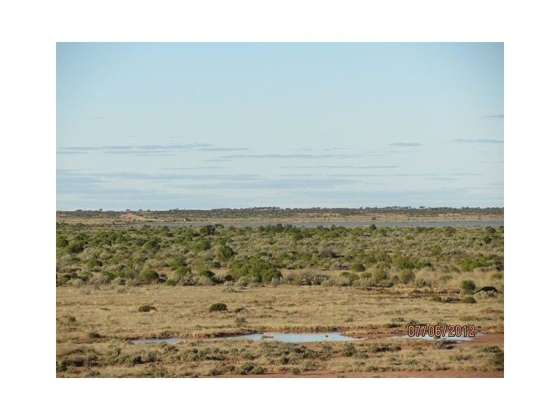 * Pindera Downs & Clifton Downs Stations, Tibooburra NSW 2880