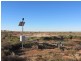 * Pindera Downs & Clifton Downs Stations, Tibooburra NSW 2880