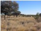 * Pindera Downs & Clifton Downs Stations, Tibooburra NSW 2880