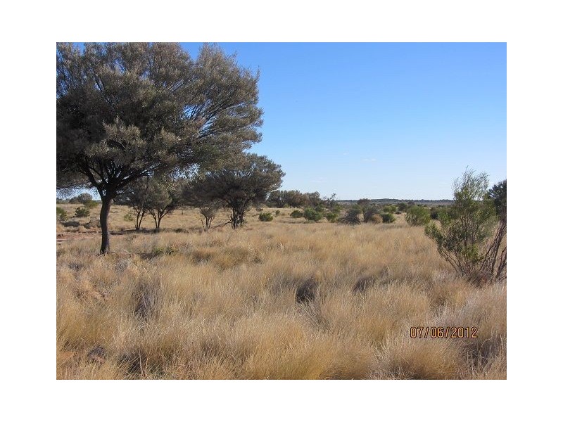 * Pindera Downs & Clifton Downs Stations, Tibooburra NSW 2880