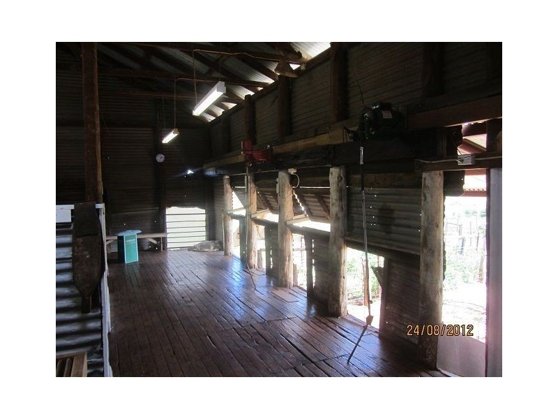 * BULLA BULLA, Cobar NSW 2835