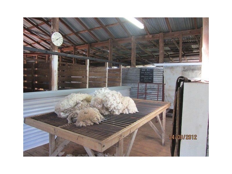 * BULLA BULLA, Cobar NSW 2835