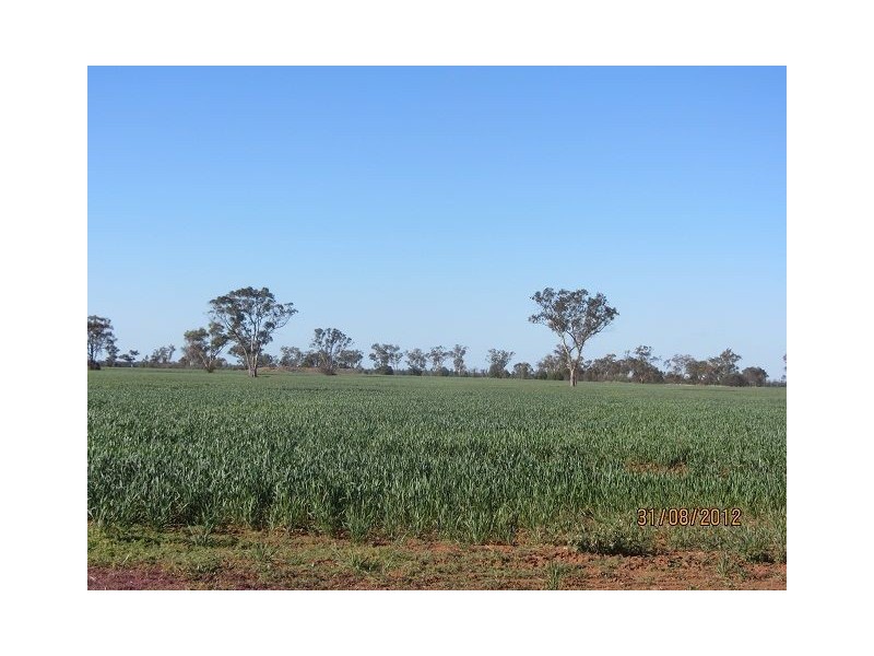 * Iona, Girilambone NSW 2831