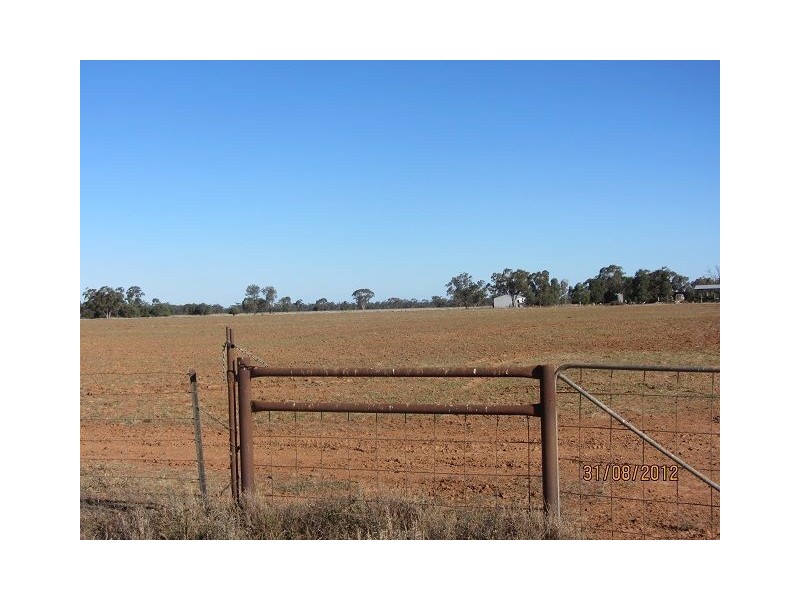 * Iona, Girilambone NSW 2831