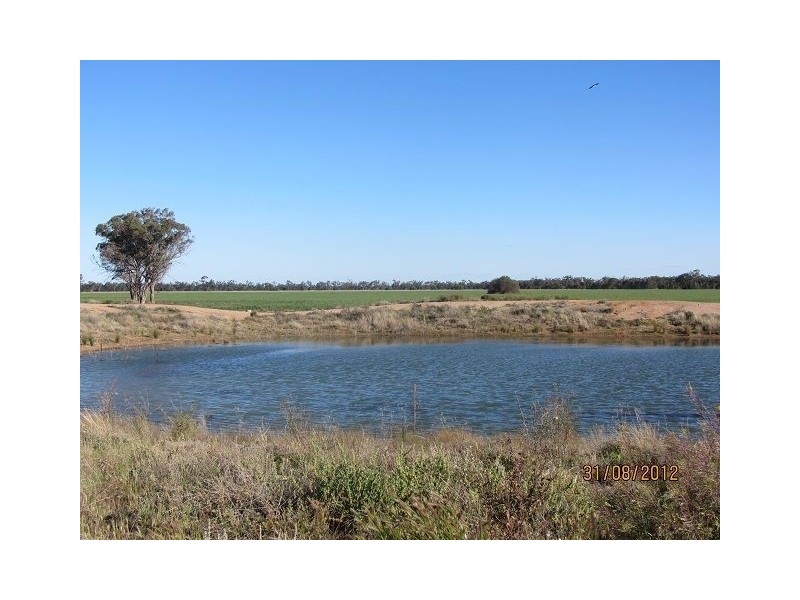 * Iona, Girilambone NSW 2831