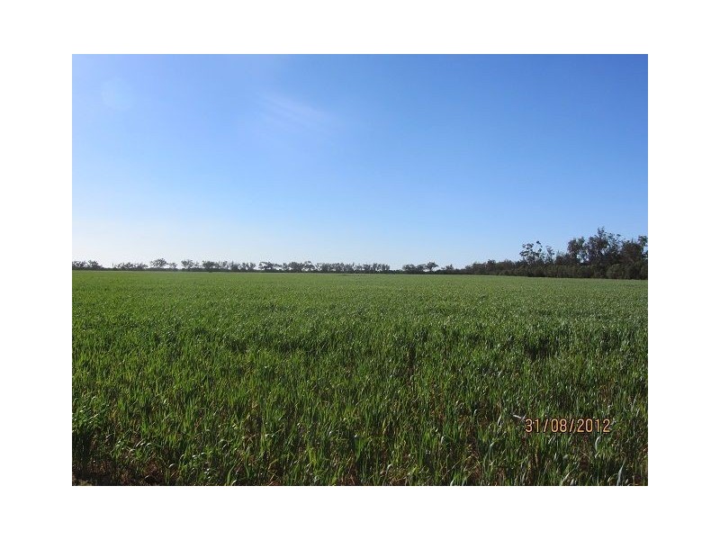 * Iona, Girilambone NSW 2831