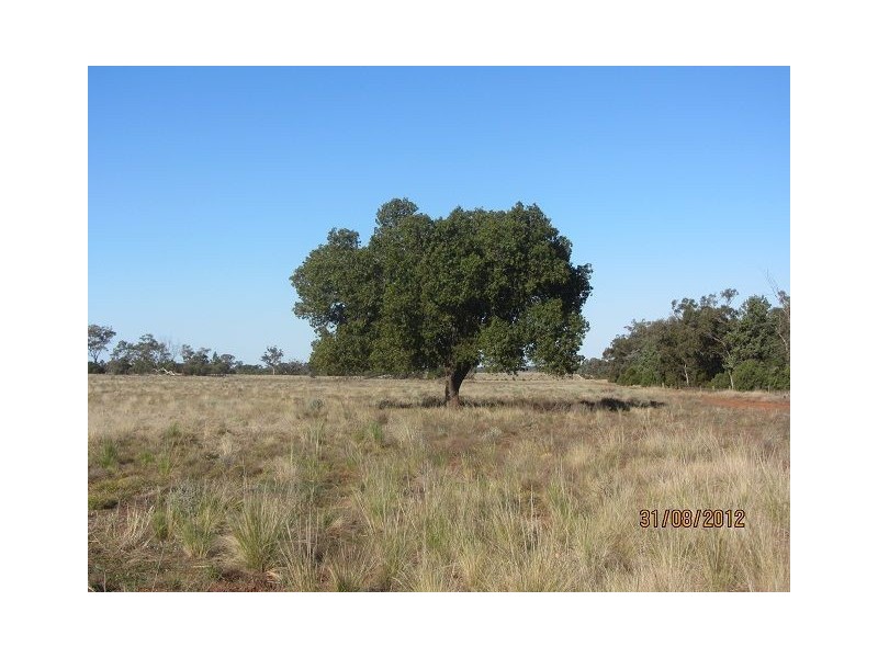 * Iona, Girilambone NSW 2831