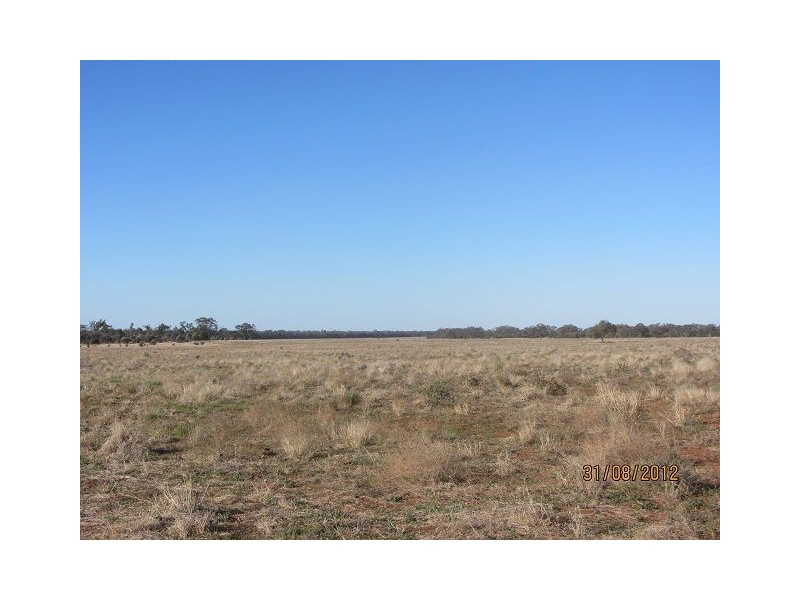 * Iona, Girilambone NSW 2831