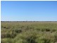 * Newmans Station, Cobar NSW 2835