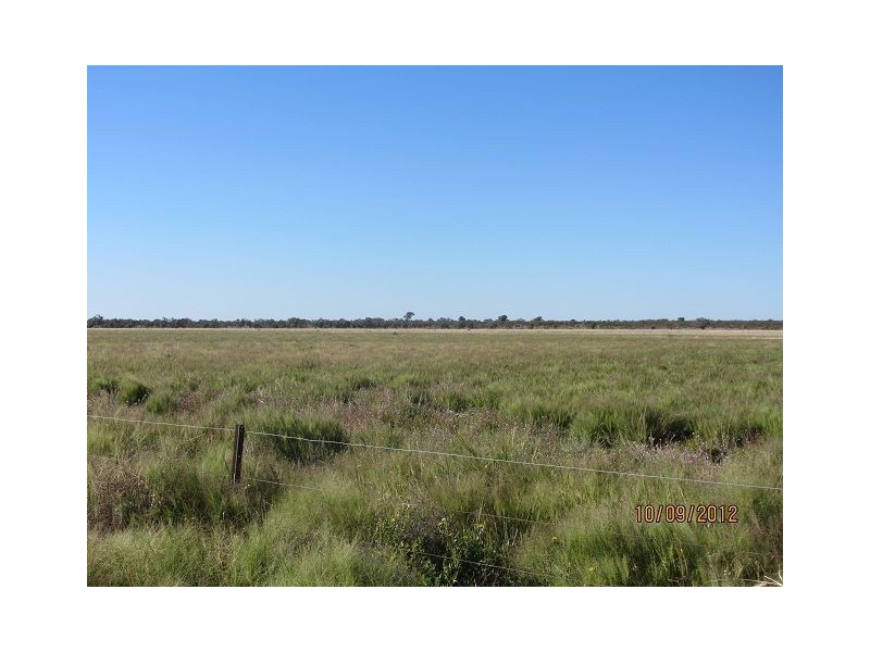 * Newmans Station, Cobar NSW 2835