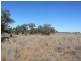 * Newmans Station, Cobar NSW 2835