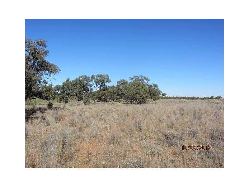 * Newmans Station, Cobar NSW 2835