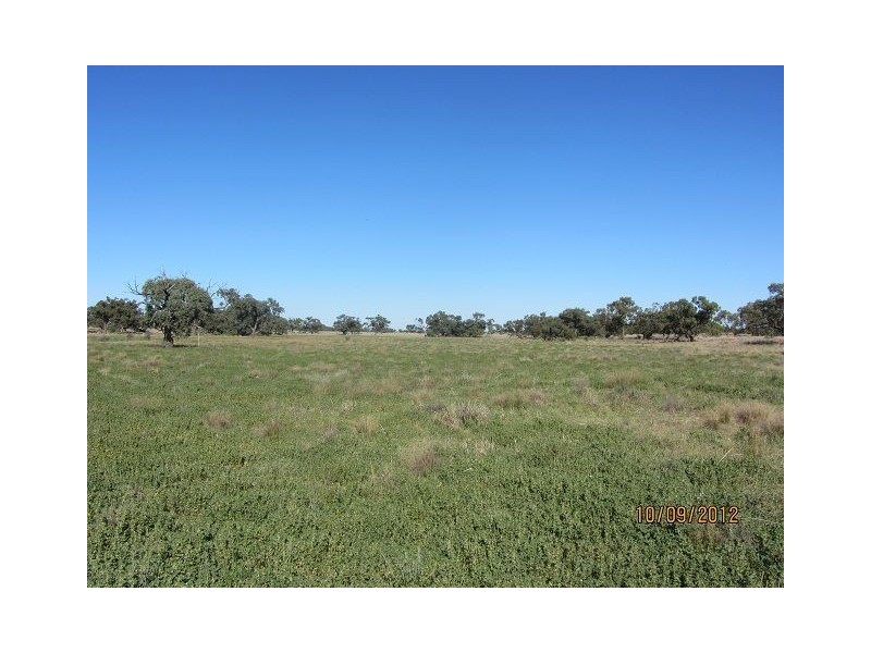 * Newmans Station, Cobar NSW 2835