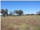 * Newmans Station, Cobar NSW 2835