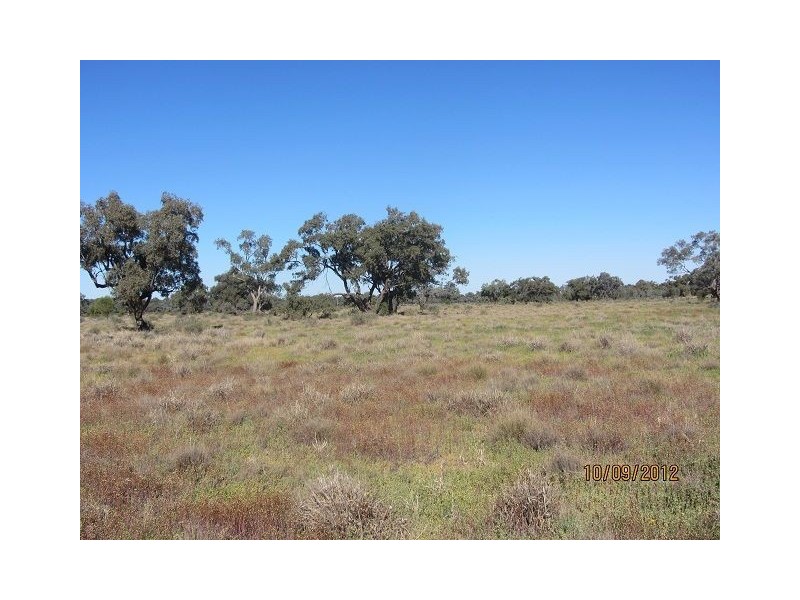 * Newmans Station, Cobar NSW 2835