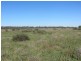 * Newmans Station, Cobar NSW 2835