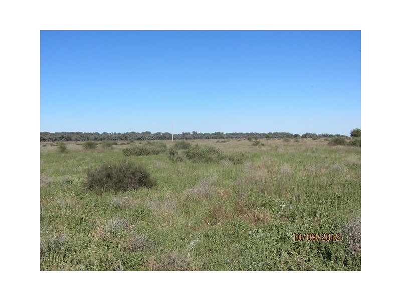* Newmans Station, Cobar NSW 2835