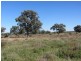 * Newmans Station, Cobar NSW 2835