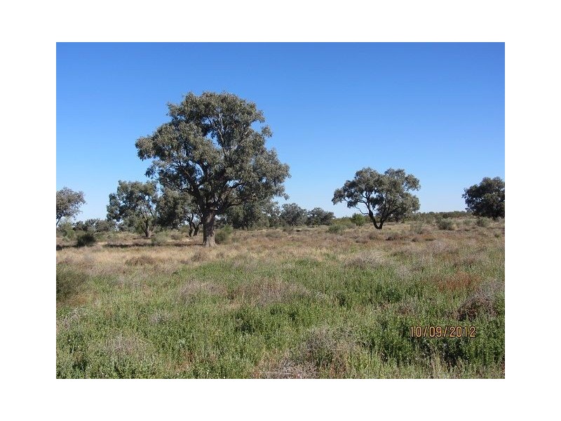 * Newmans Station, Cobar NSW 2835