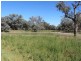 * Newmans Station, Cobar NSW 2835
